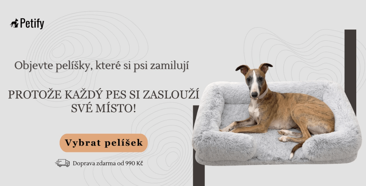 petify-pelisky-pro-psy